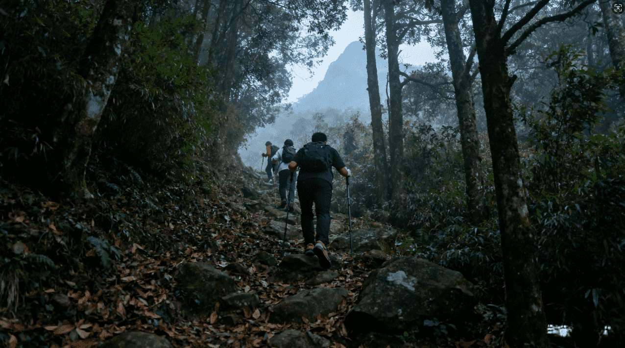 老王VPA加速器实现网络加速的详细步骤